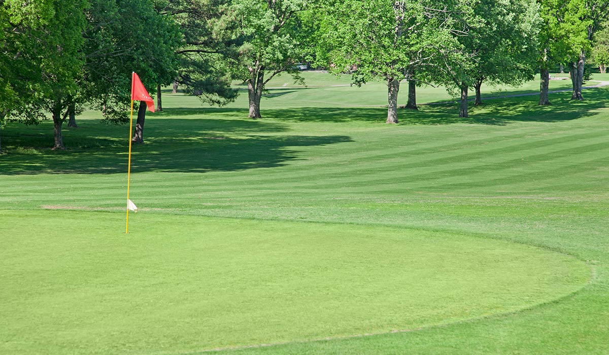 artificial putting green