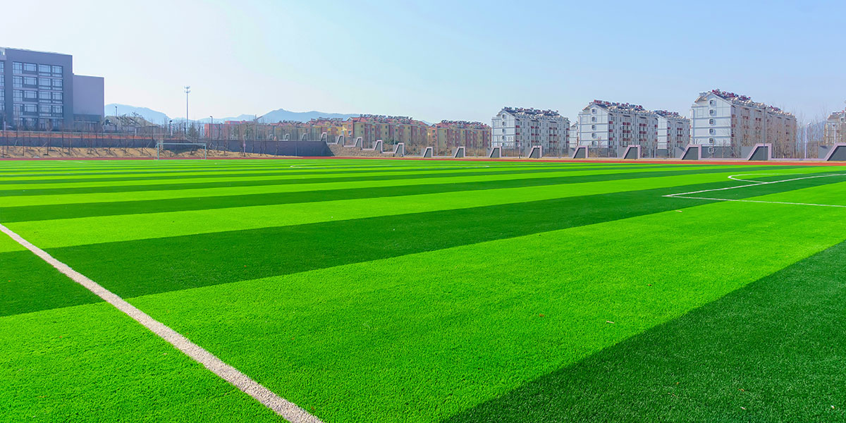 lawn-renovation