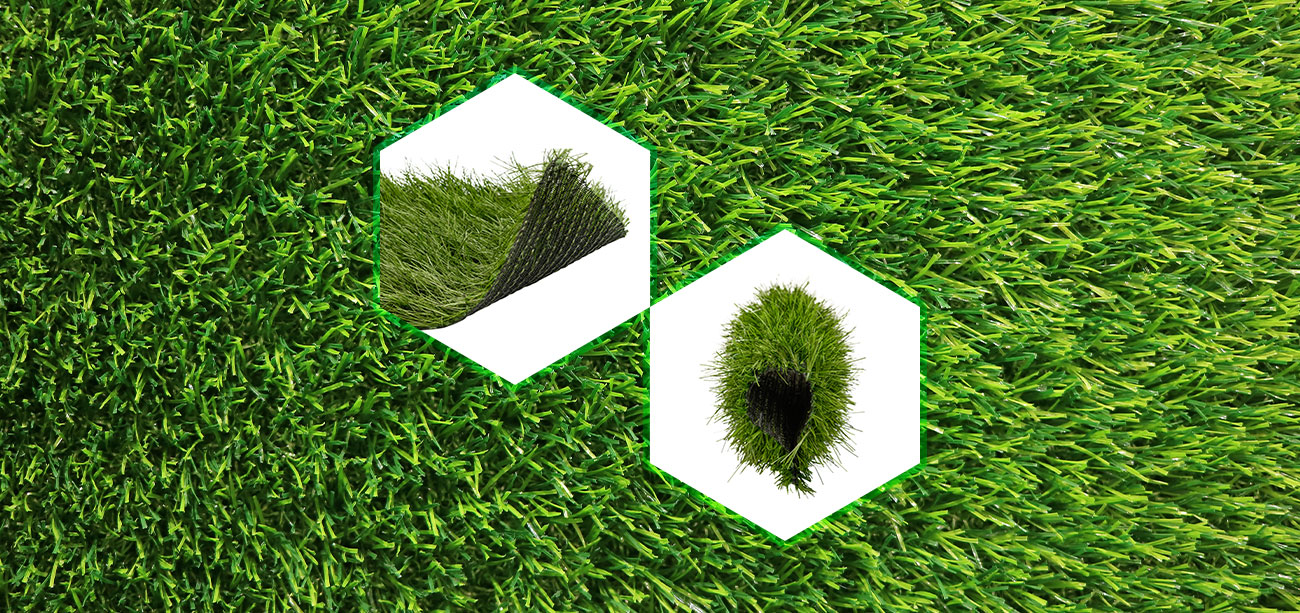 hybrid grass avengrass