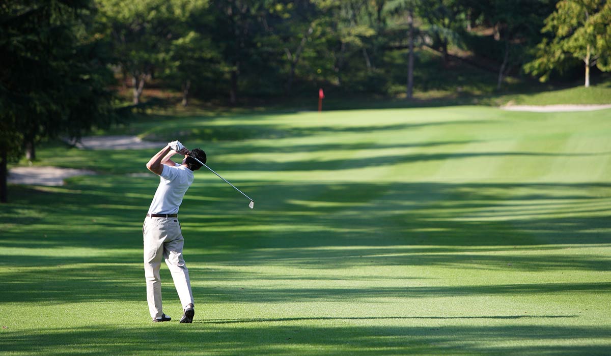 putting green for golf courses