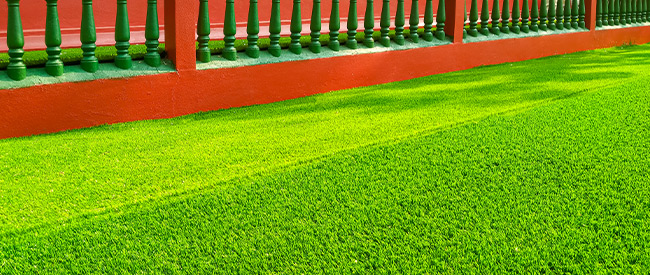 https://www.avengrass.com/resimler/icerikresim/218.jpg