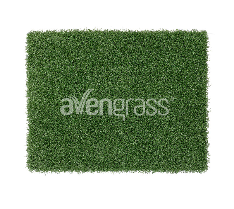 cricket grass - 2
