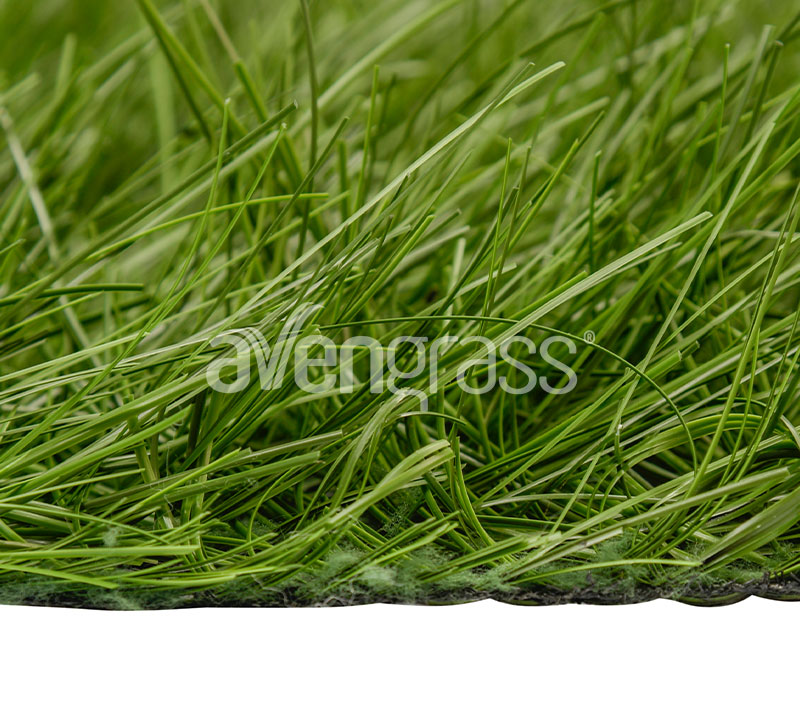 hybrid-grass-3
