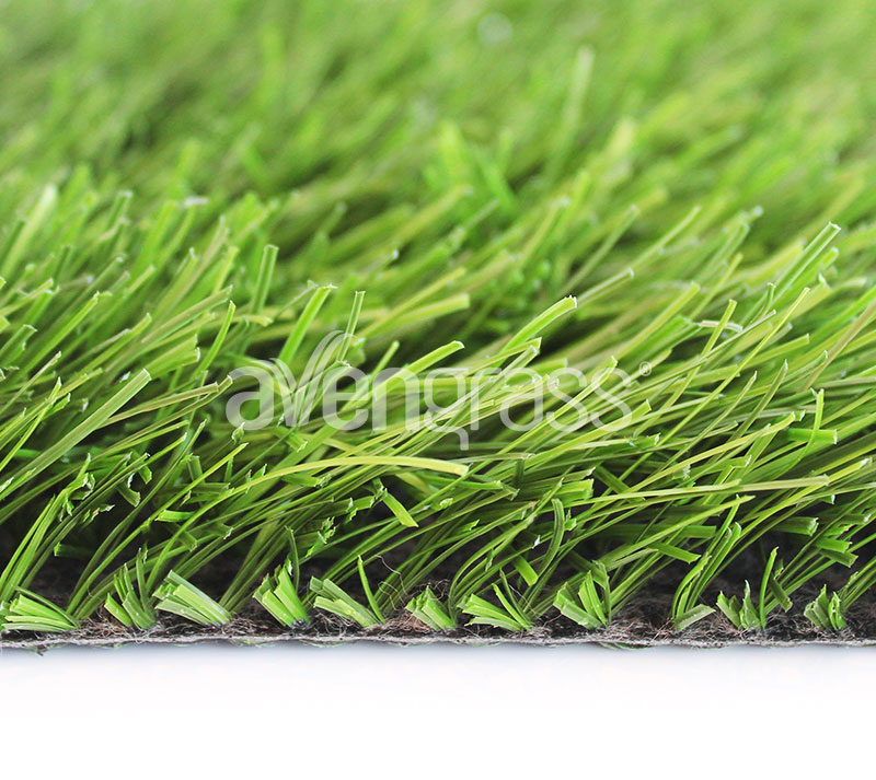 rugby premium grass - 1 