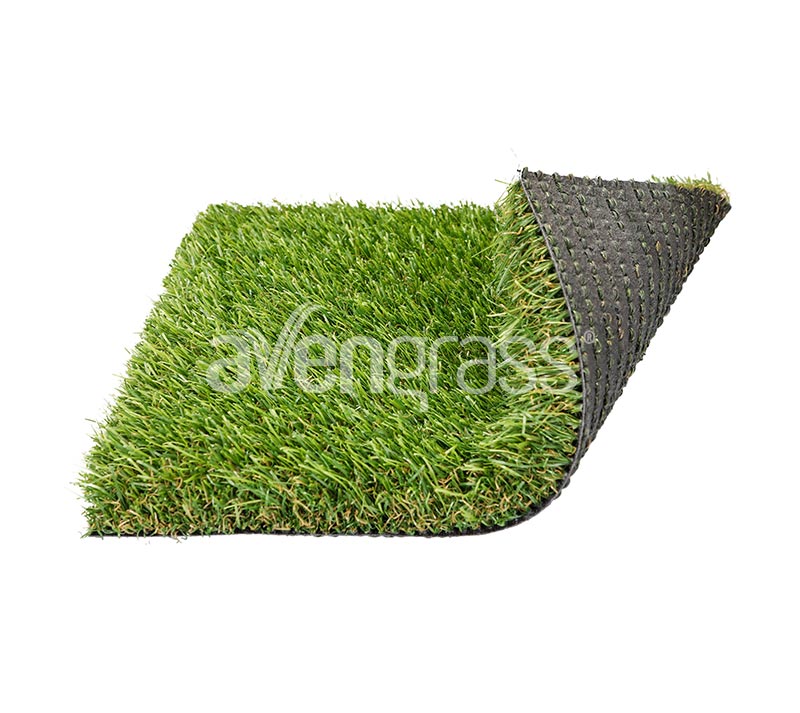 garden trend grass - 1