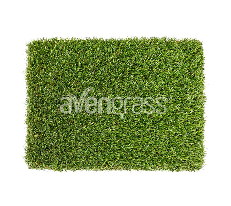 garden trend grass - 2