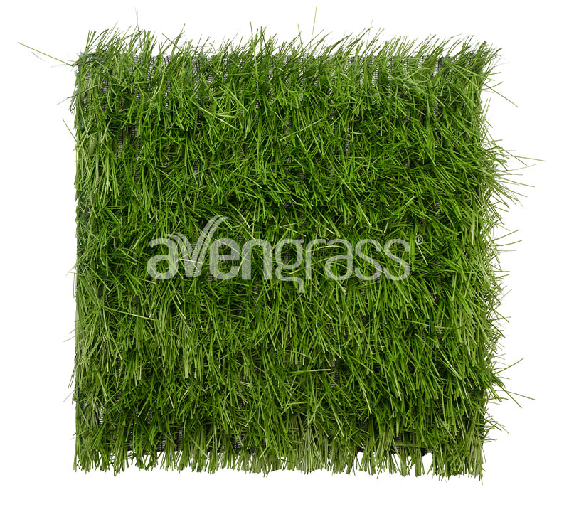 hybrid-grass-2