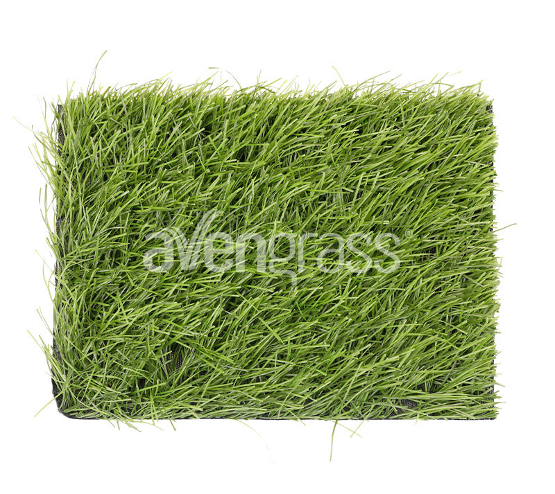 powergrass-artificial-grass-2